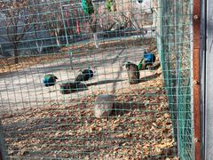 -哈密回王府景区