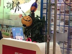 -英孚教育青少儿(宝龙中心)