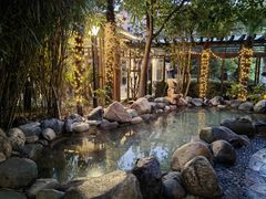 -张家港金凤凰度假村温泉