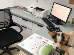 -萌兽医馆·绝育·24小时内科·宠物医院(德胜店)