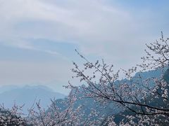 -圣莲山风景区