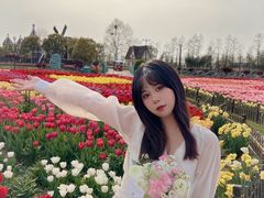 -荷兰花海