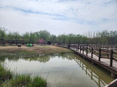 -西青郊野公园