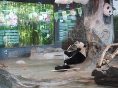 -海南热带野生动植物园