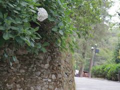 -大理床单厂艺术区