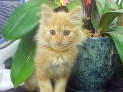 -爱尚花坊(大林路店)