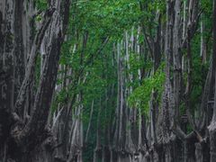 -灵谷景区