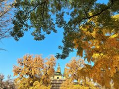 -北京石刻艺术博物馆(五塔寺)