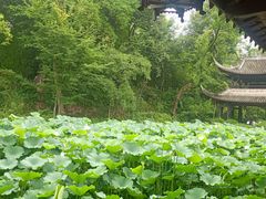 -三苏祠
