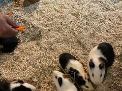 -常州海昌海洋探索馆