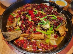 -老板恋上鱼(高新万达店)
