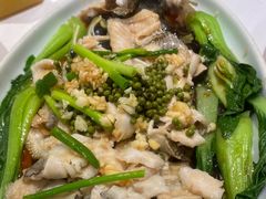 -津悦·正阳春烤鸭(红旗南路店)