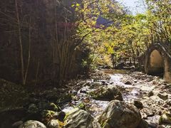 -牛背梁国家森林公园
