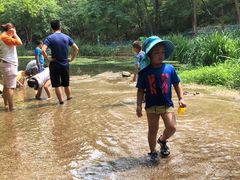 -白水寺森林公园
