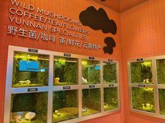 -芸山季·云南野生菌火锅(宝能环球汇店)