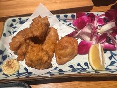 -鳥焱商店(王府大街店)