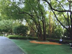 -徐家汇源景区-衡山公园