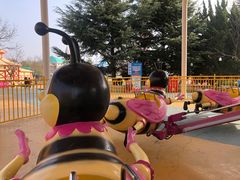 -青岛方特梦幻王国