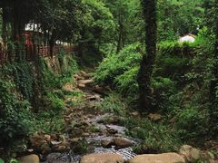 -素山寺森林公园