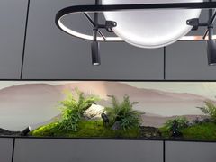 -绿茶餐厅(滨海万达广场店)
