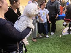 -瑞虹新天地月亮湾