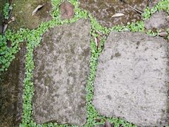 -杭州半山国家森林公园