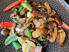 -滇野云南野生菌餐厅(陕西南路店)