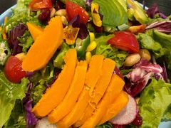 -猫小院猫主题咖啡厅(北锣店)