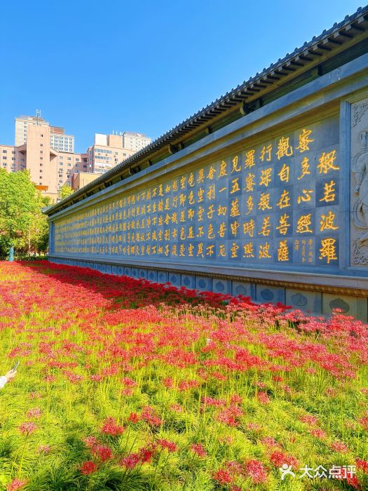 西安大兴善寺图片