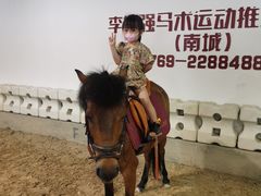 -李振强马术运动推广中心(南城店)