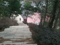 -木兰云雾山