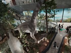 -湖南省地质博物馆