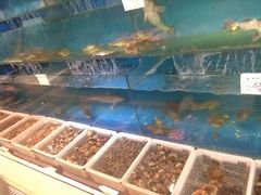 -宏源鑫海鲜餐厅·海景婚宴厅(石老人店)