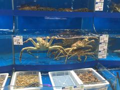 -果蔬好生活超市(乐堤港店)