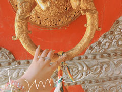 -塔尔寺菩提树