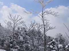 -四明山国家森林公园
