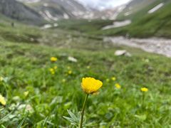 -新疆那拉提国家旅游度假区