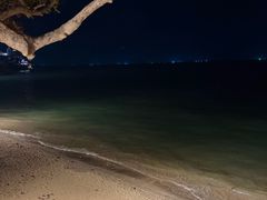 -卷心菜和避孕套餐厅(Pattaya)