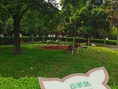 -扬州市茱萸湾风景区
