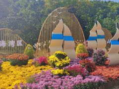 -上海共青森林公园