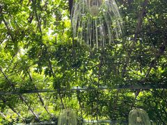 -武汉紫薇都市田园