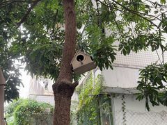 -绿房子方寸咖啡(星海名城店)