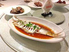 -金美华轩(东方路齐鲁店)