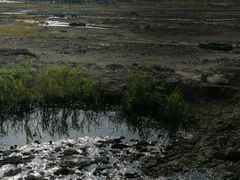 -黑油山景区