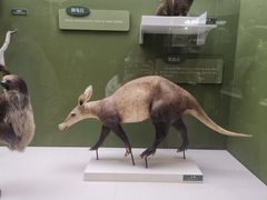 -国家自然博物馆