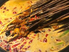 -钢管厂五区小郡肝串串香(奥克斯广场锦城万达店)