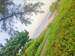 -深圳湾公园(南山区)