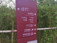 -江南天池