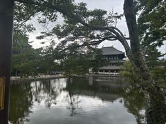 -奈良公园