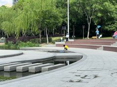 -南翔镇银翔湖公园